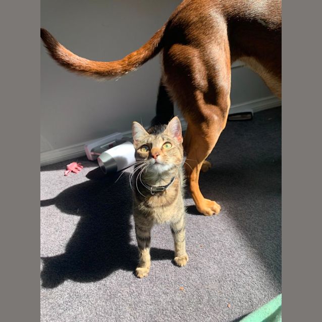 Photo of Lulu And Daisy