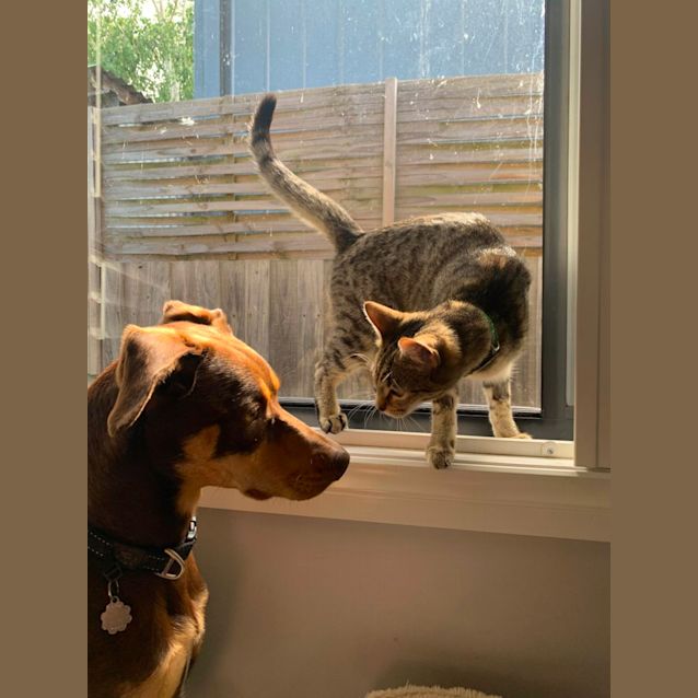 Photo of Lulu And Daisy