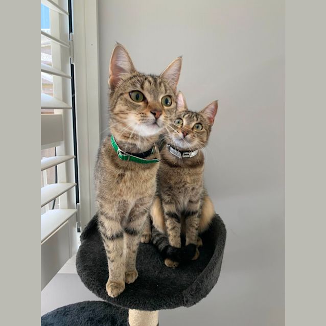 Photo of Lulu And Daisy