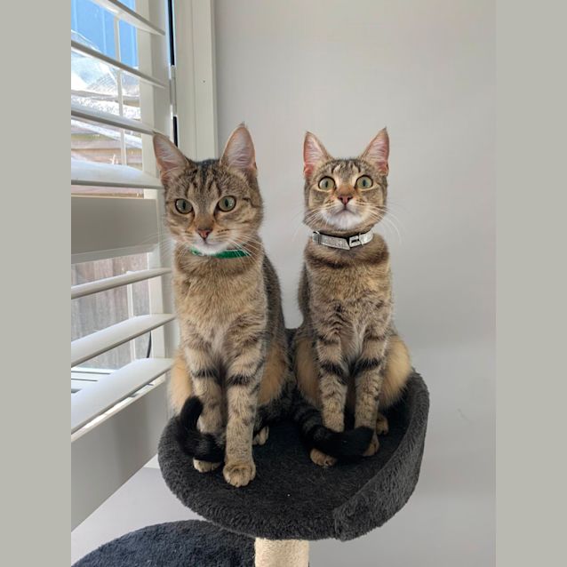 Photo of Lulu And Daisy