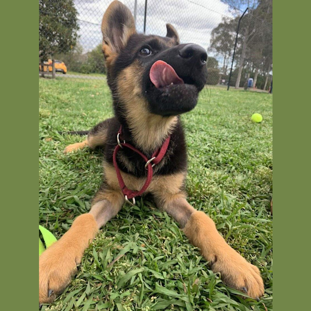 Photo of Bellatrix