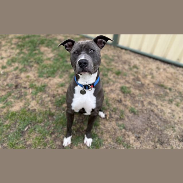 Photo of Jax