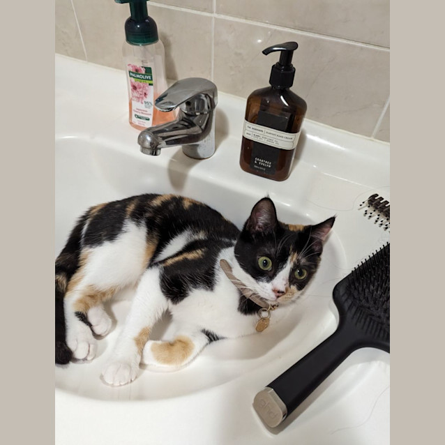 Photo of Miss Honey 🍯 