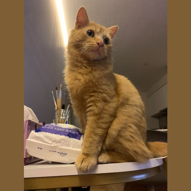 Photo of Leo