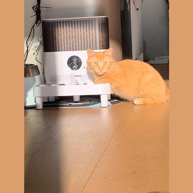 Photo of Leo