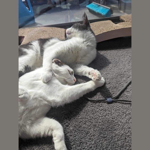 Photo of Dunkin & Herb