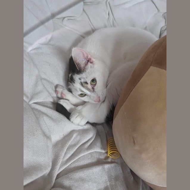 Photo of Herb & Dunkin