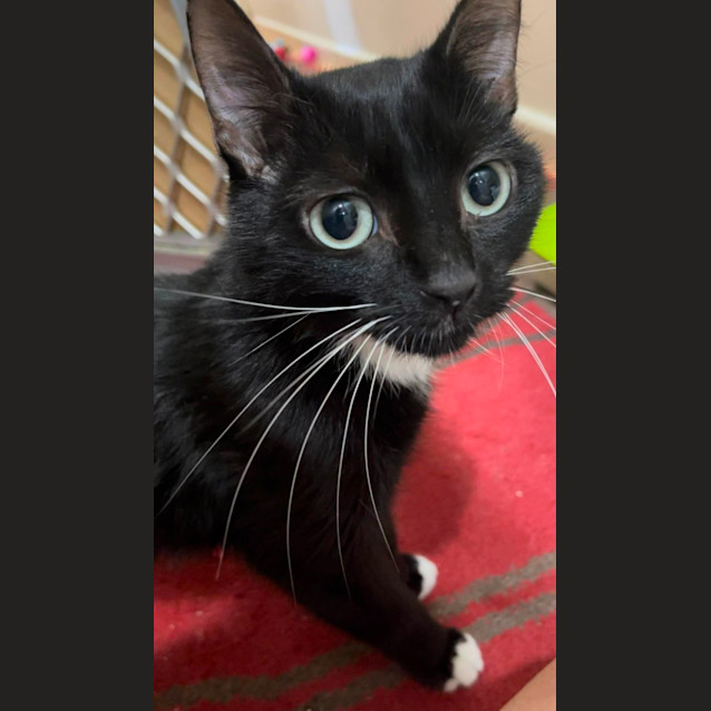 Photo of Wednesday