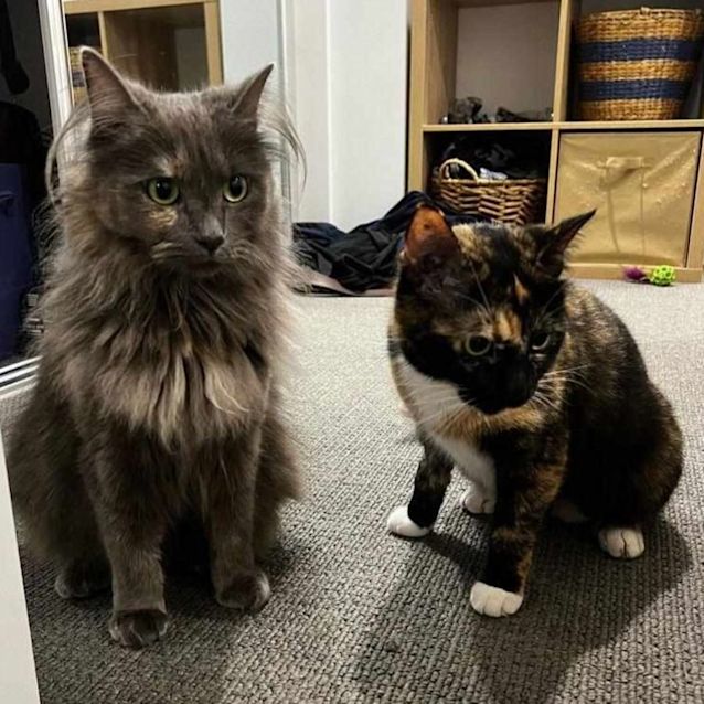 Photo of Tina Turner