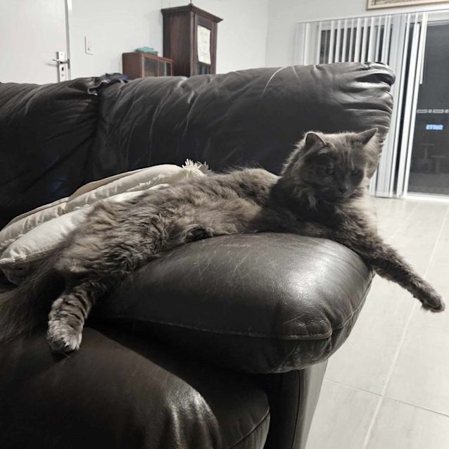 Photo of Tina Turner