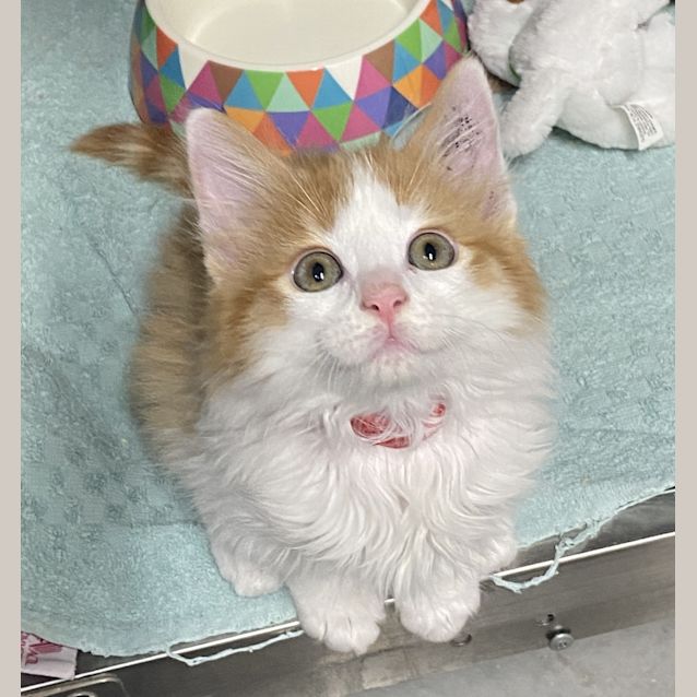 Photo of Fred