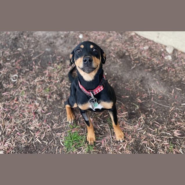 Photo of Lettie