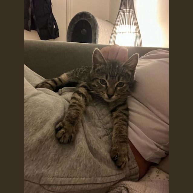 Photo of Ralph