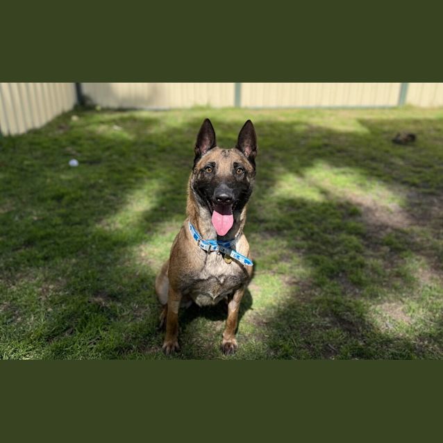 Photo of Harley