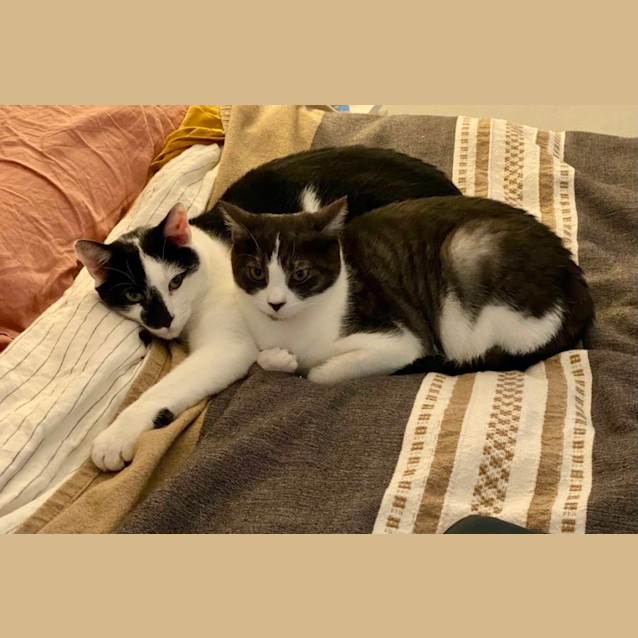 Photo of Squid And Nori
