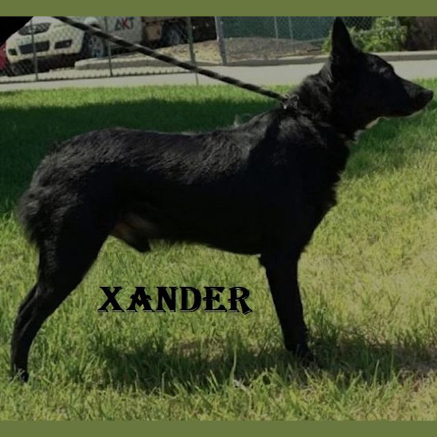 Photo of Xander