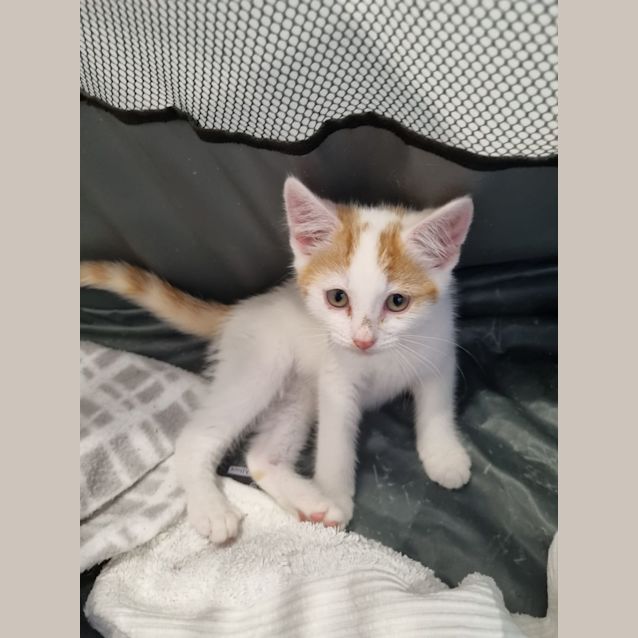Photo of Lilly