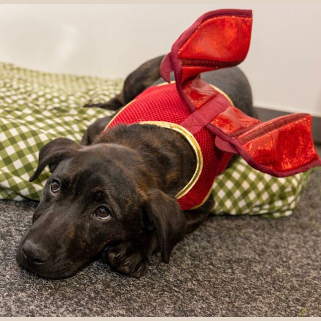 Photo of Trick 🤪🎃