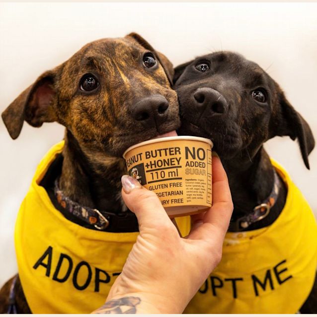 Photo of Trick 🤪🎃