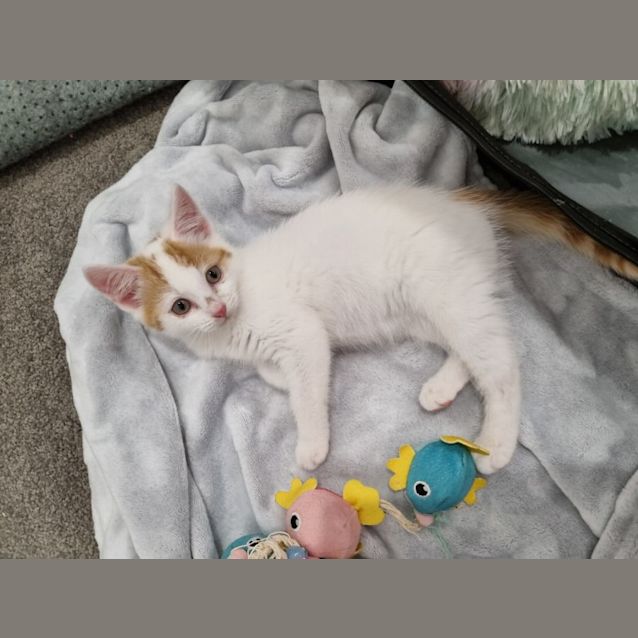 Photo of Lilly