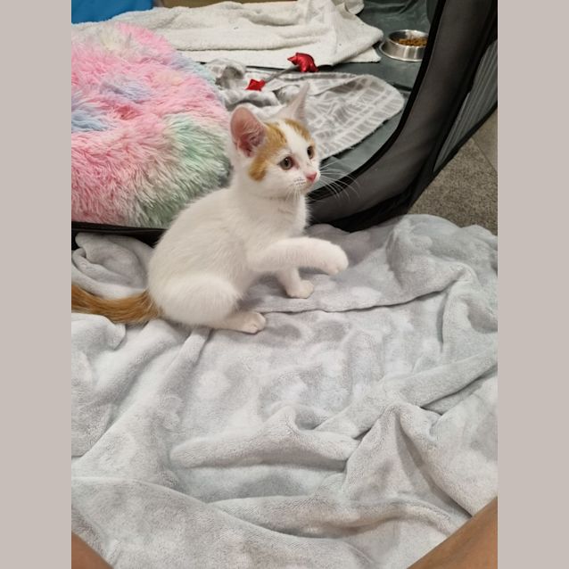 Photo of Lilly