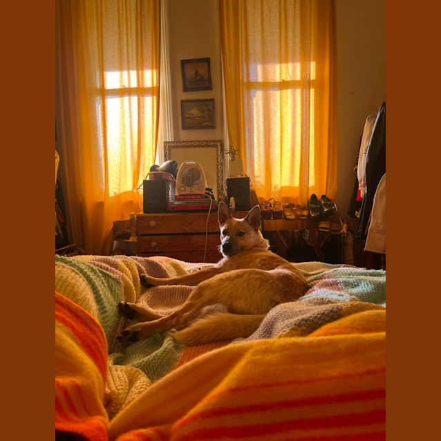Photo of Ringer