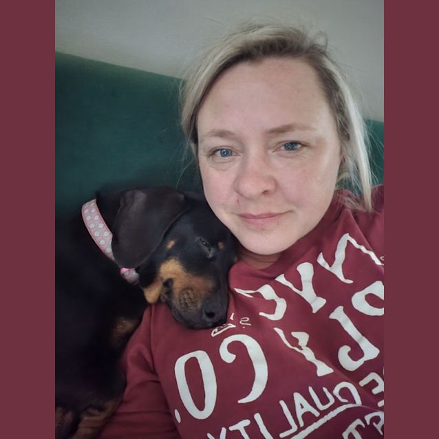 Photo of Luna   7 Year Old Mini Dachshund (Trial)