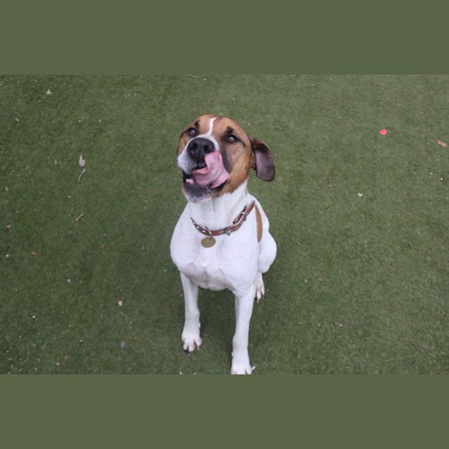 Photo of Tex