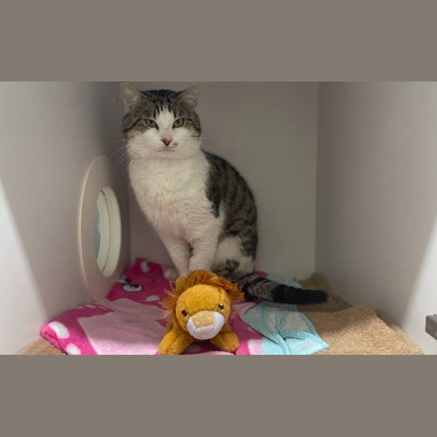 Photo of Harry