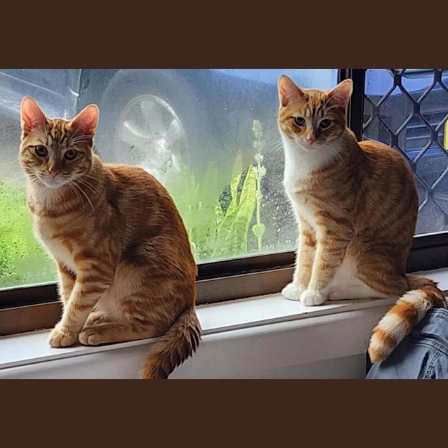 Photo of Oj And Ruben