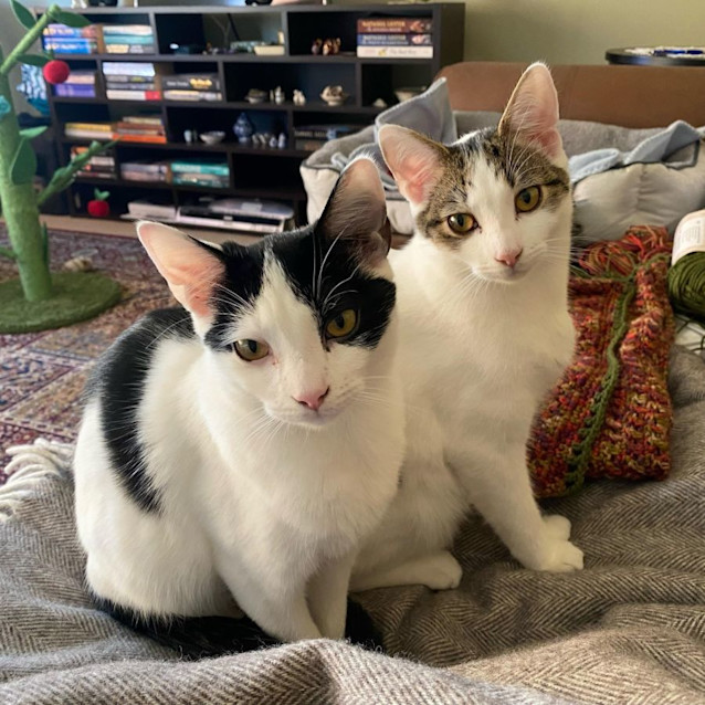 Photo of Winston And Chester