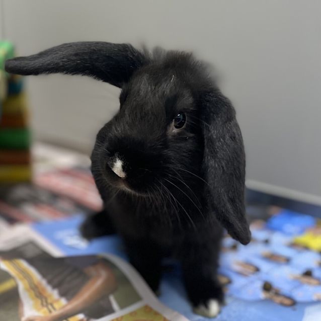 Photo of Pepsi
