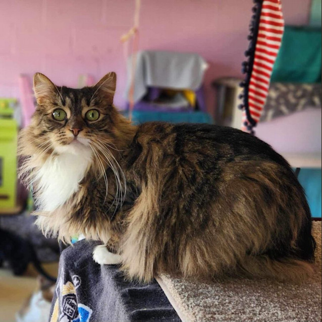 Photo of Beyonce   A Real Beauty!