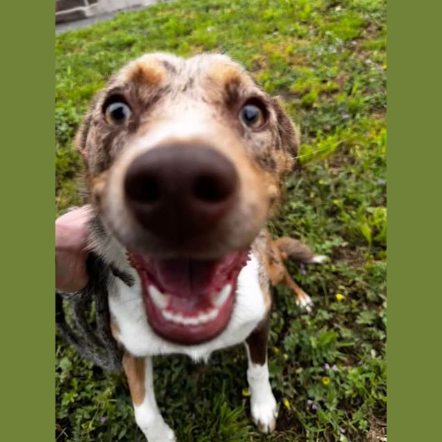 Photo of Coco