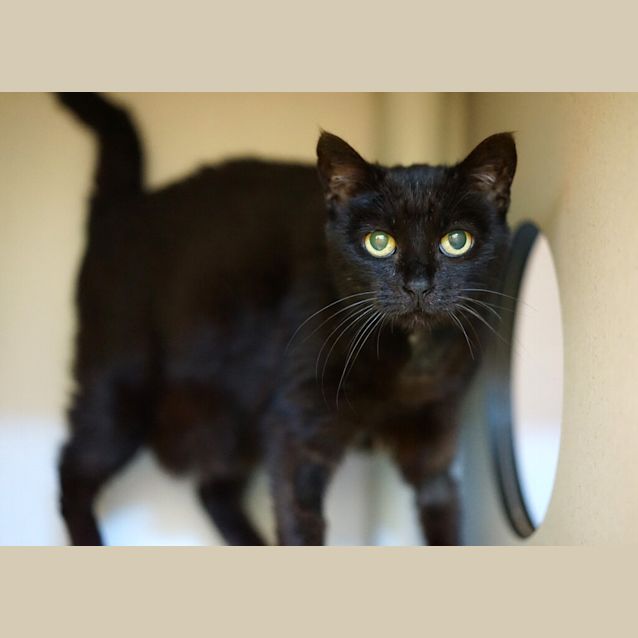 Photo of Eve