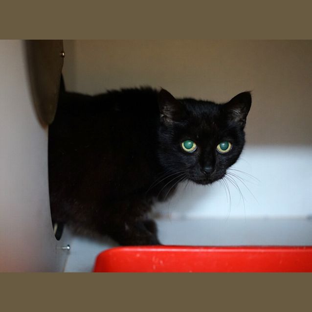 Photo of Eve
