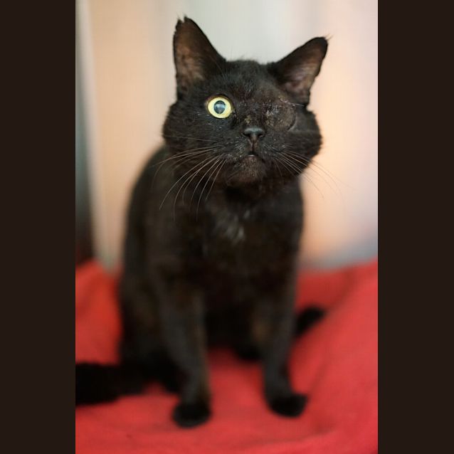 Photo of Reuben