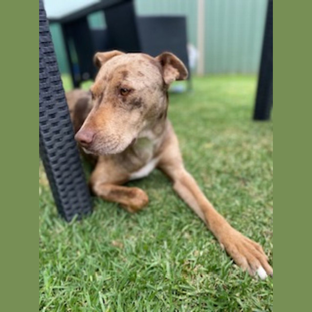 Photo of Diamond