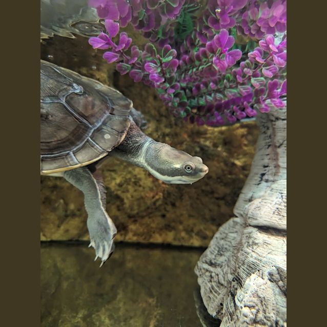 Photo of Dave