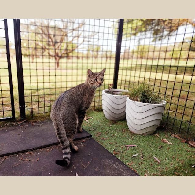 Photo of Conrad Hilton Jnr