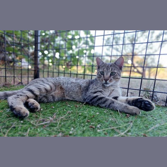 Photo of Conrad Hilton Jnr