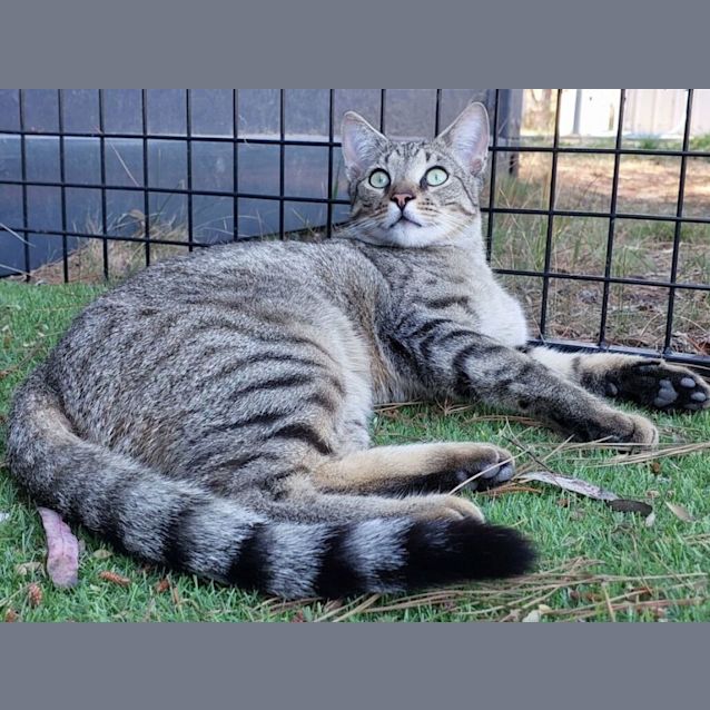 Photo of Conrad Hilton Jnr