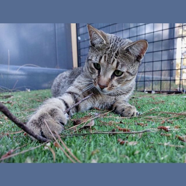 Photo of Conrad Hilton Jnr