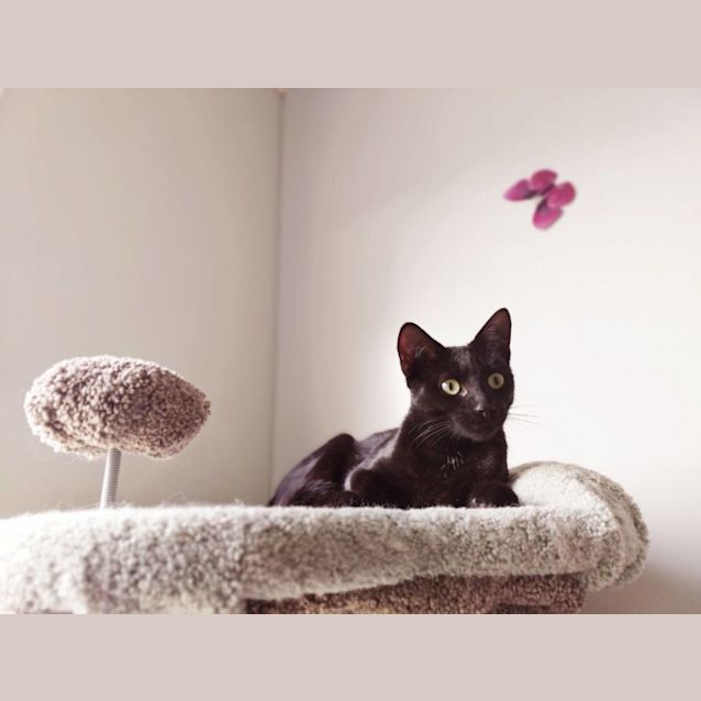 Photo of Elizabeth Taylor