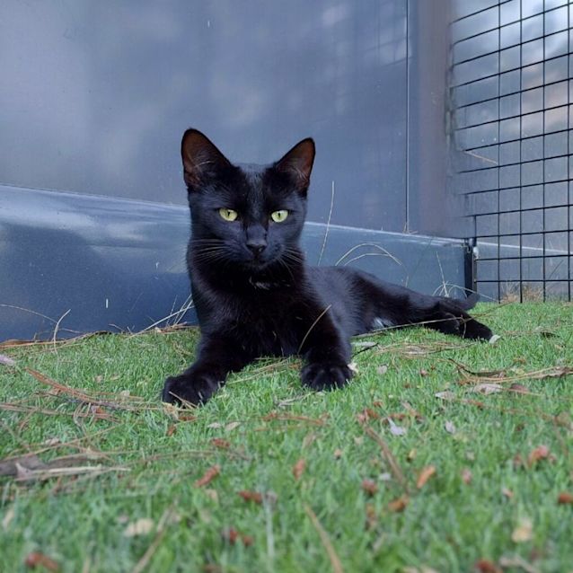 Photo of Elizabeth Taylor