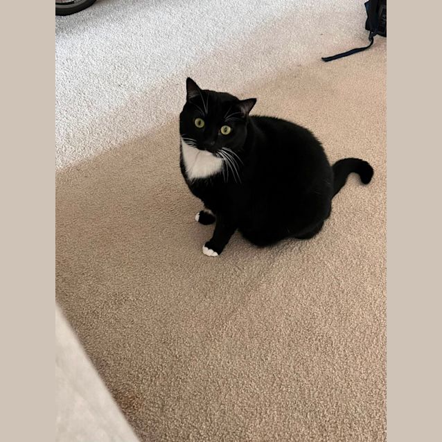Photo of Boots And Snuggs