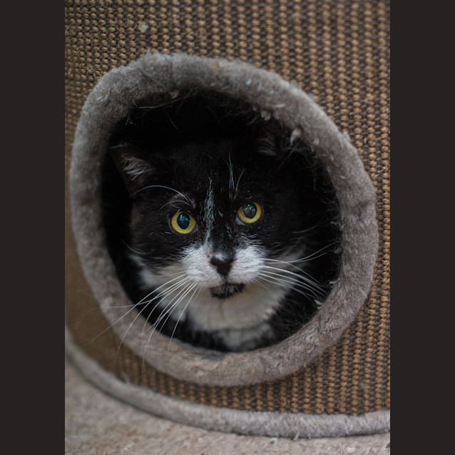 Photo of Newton