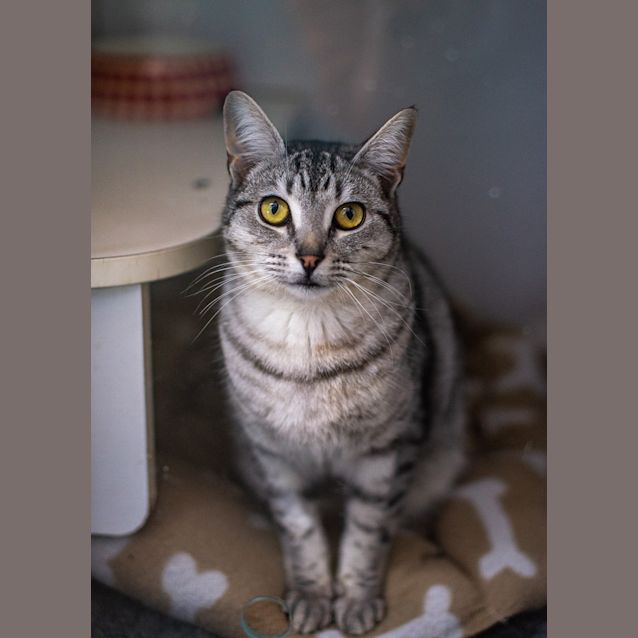 Photo of Kevin