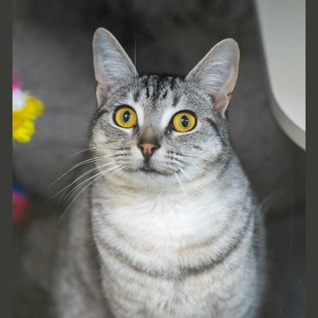 Photo of Kevin