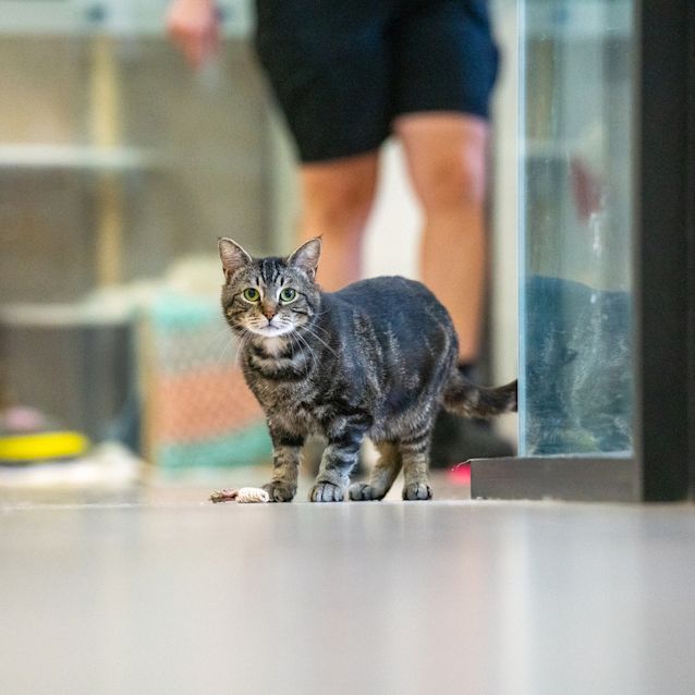 Photo of Marty